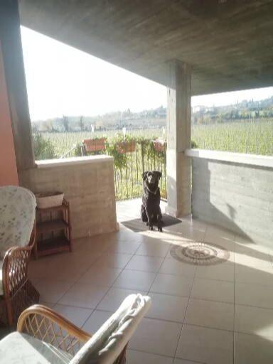 Uno Sguardo Sulla Valpolicella Apartment Pedemonte Exterior photo